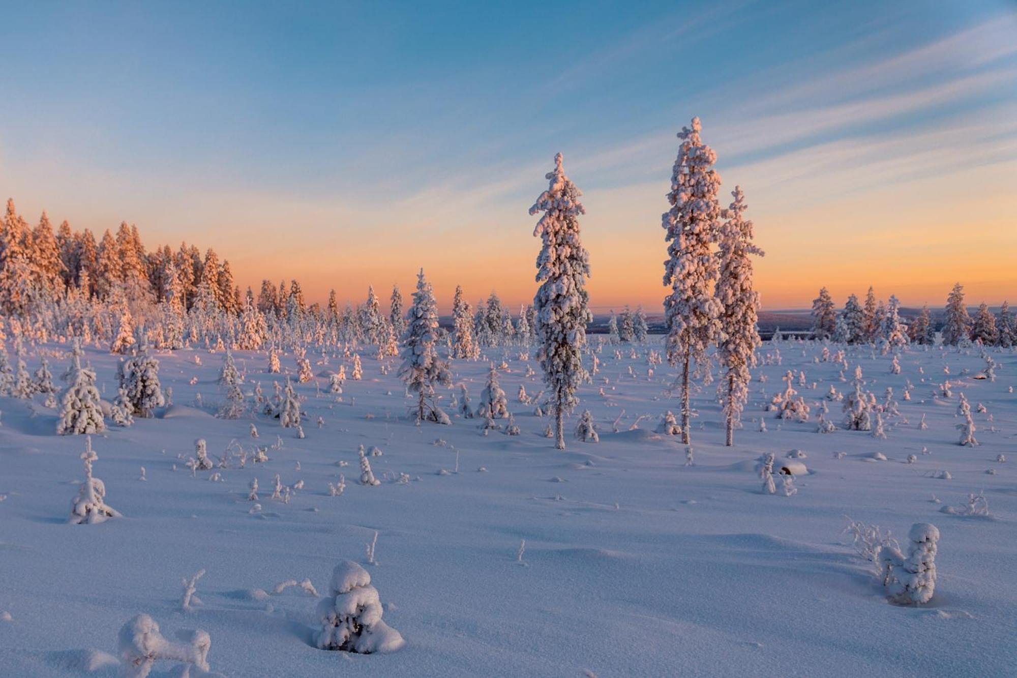 Hotel Mestarin Kievari Kemijarvi Bagian luar foto